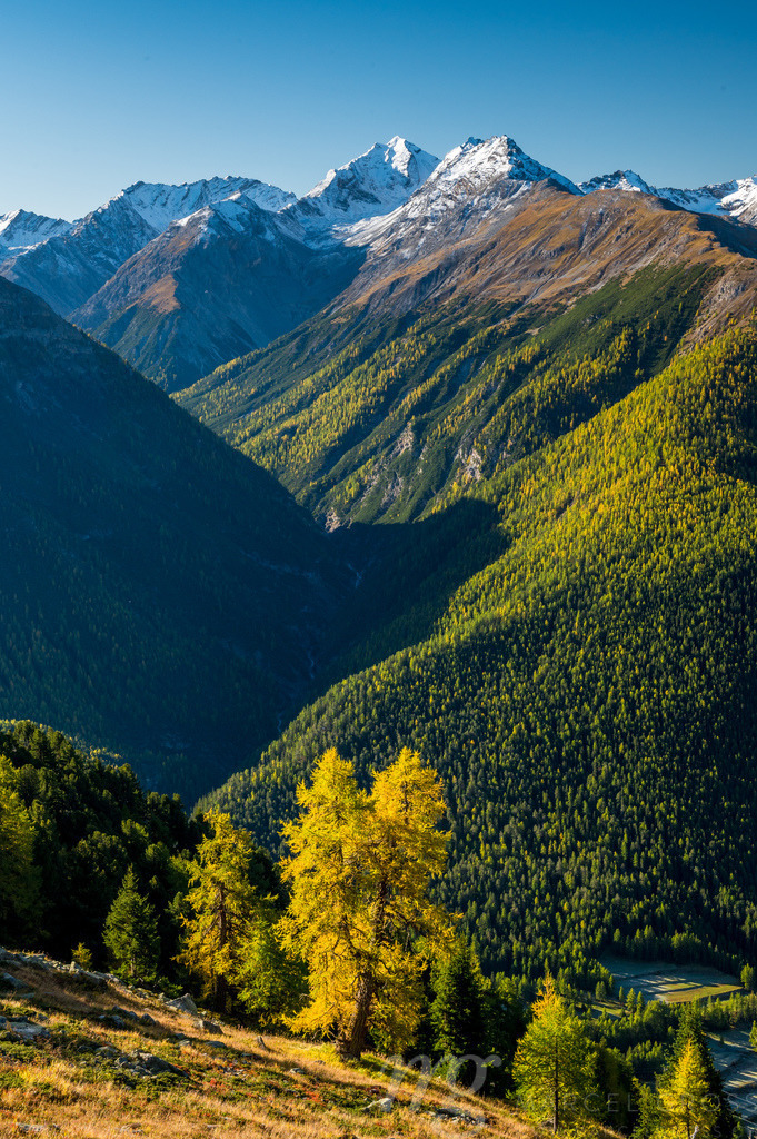 view from Plan Sech over the Swiss Nationalpark | Die ideale Geschenkidee für Naturliebhaber. Naturbilder von Marcel Gross Photography für ihr Zuhause in den verschiedensten Formaten und Materialien. - Realisiert mit Pictrs.com