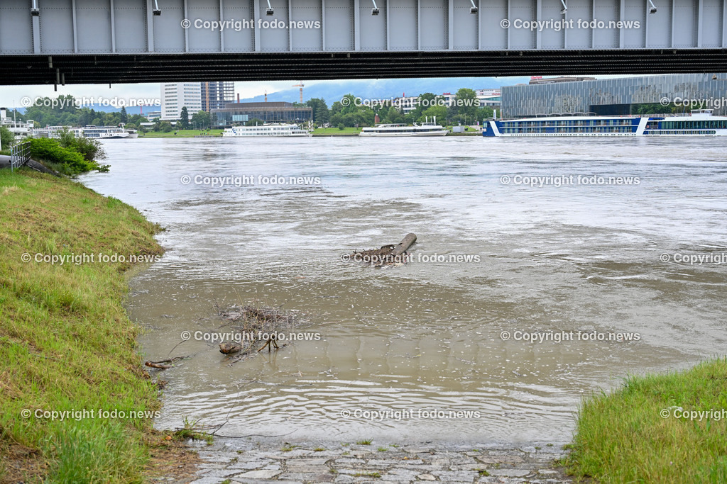 Linz_ Urfahr_ Hochwasserschutz_ 02.06.2024-18 | 02.06.2024, Linz, AUT, Urfahr, Hochwasser, im Bild Vorbereitung Hochwasserschutz Donaulaende Linz Urfahr, Hochstand Donau, Treibholz