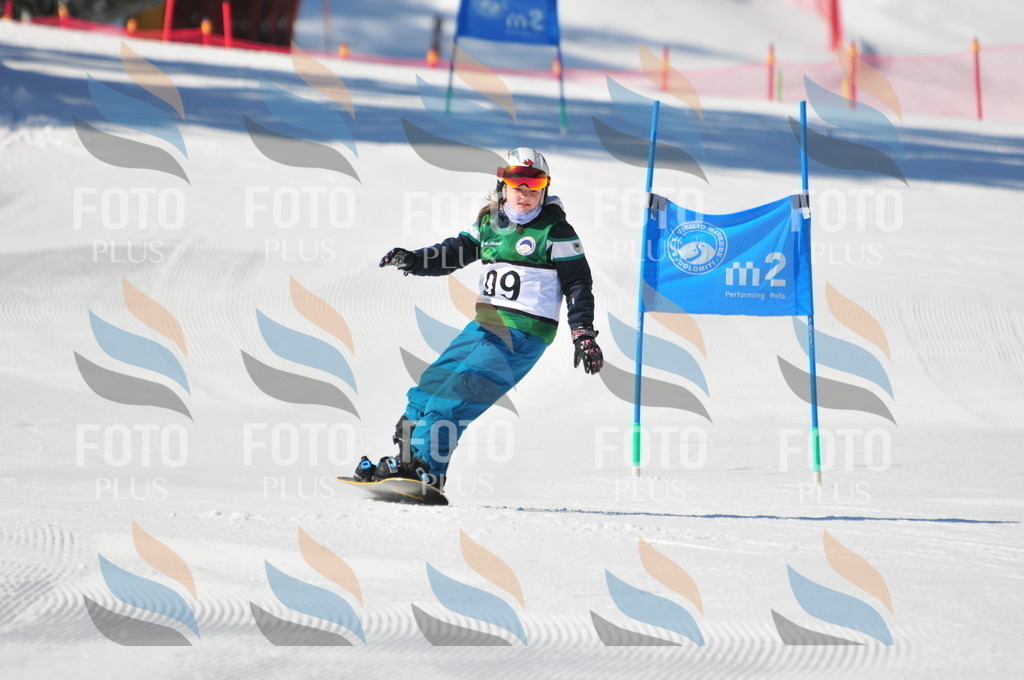 C2390 | holidayphoto