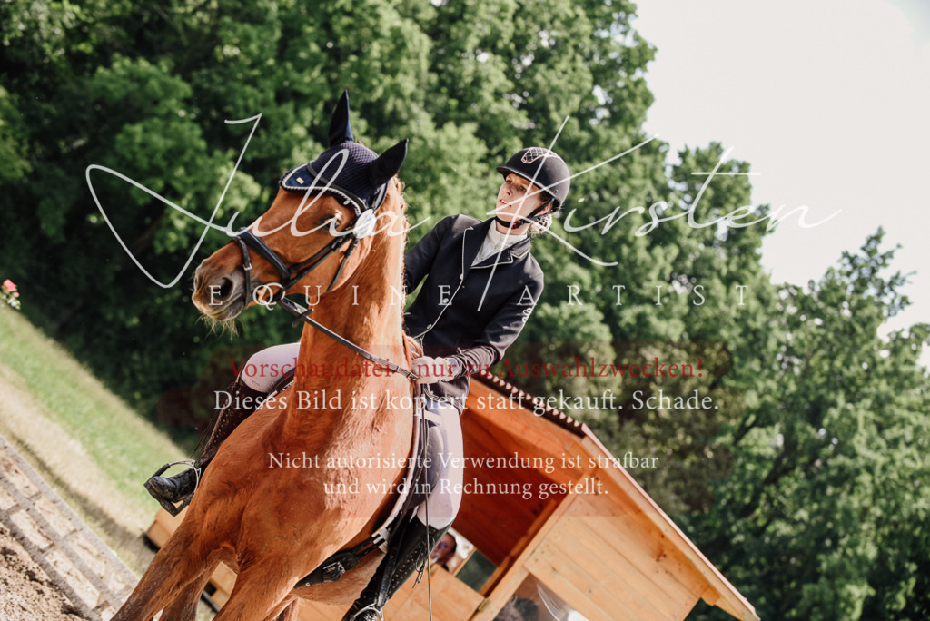 DSC_1552 | Pferde- und Turnierfotografie in Westsachsen. Pferdeportraits, Auftragszeichnungen und intuitive Kunst.