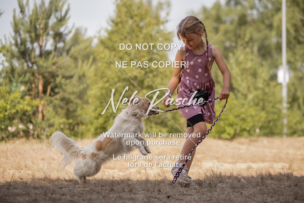 nelerasche_soDD2_277 | nelerasche