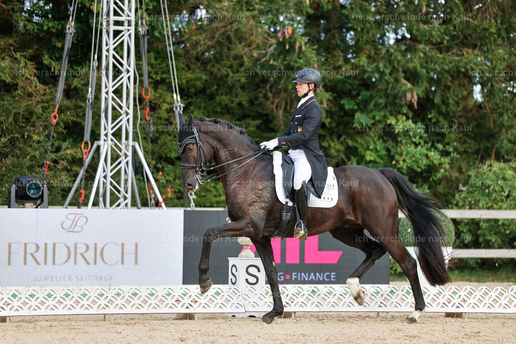 13-229-S___ -StoibPH-6976 | working equitationturnier fotograf videograf stoibphotography marixx film working equitation deutschland reitsport turnierfotografie eventfotografie equestrian events