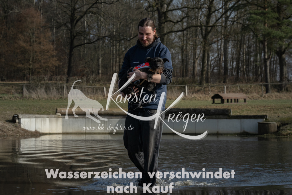 1421_ZZ90220 | kk-dogfotos