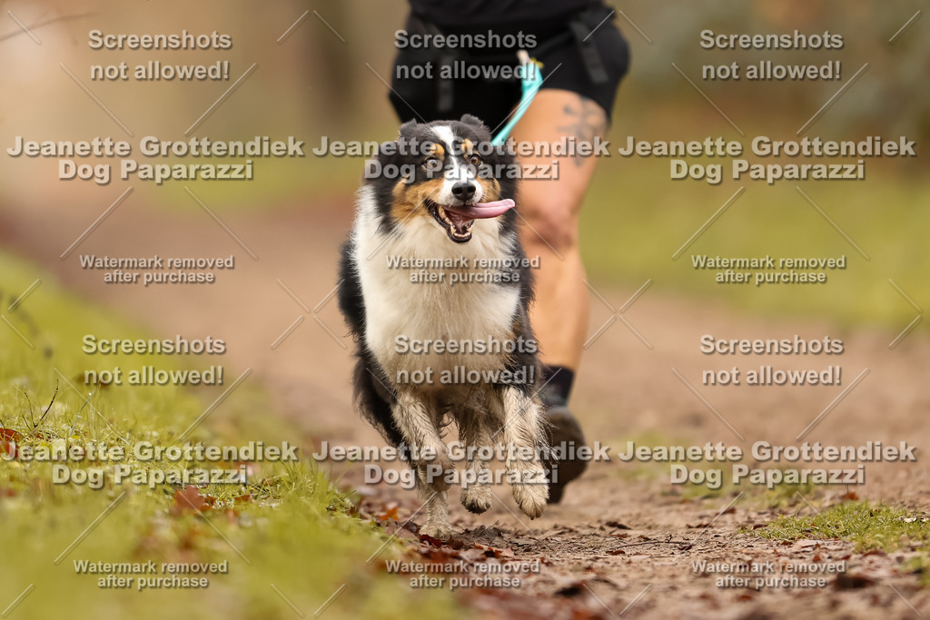 Dog Paparazzi - Speedhunter Mannheim  2025-214 | Dog Paparazzi Jeanette Grottendiek Fotografie & Videografie