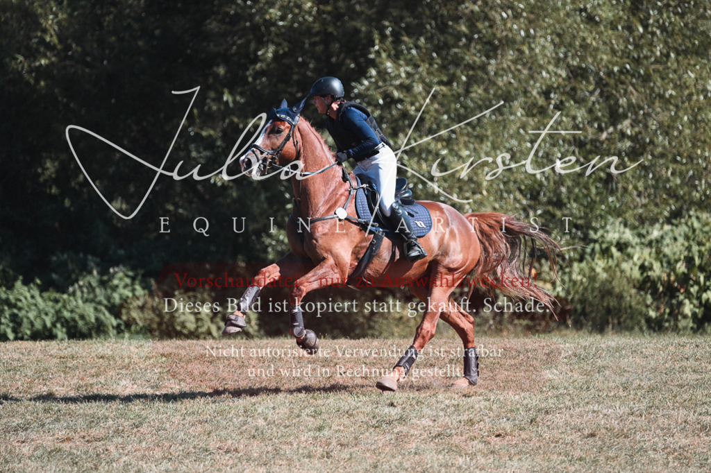 DSC_8615 | Pferde- und Turnierfotografie in Westsachsen. Pferdeportraits, Auftragszeichnungen und intuitive Kunst.