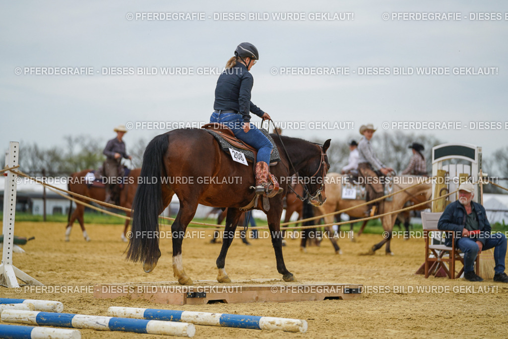 DSC02828 | Pferdegrafie