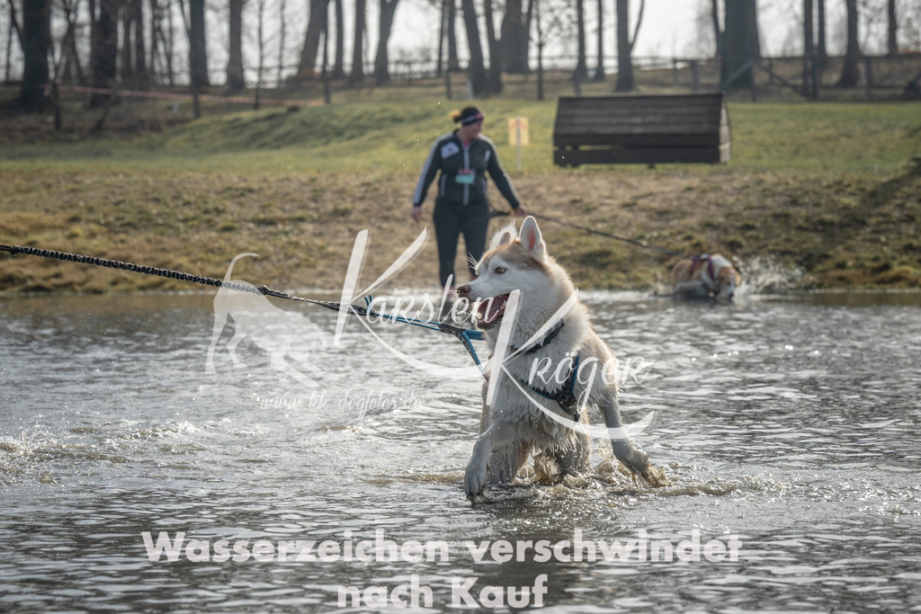 1041_ZZ99116 | kk-dogfotos