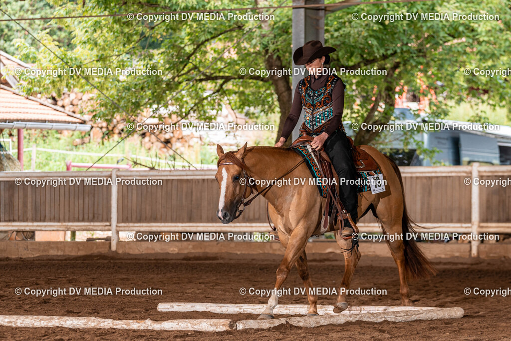 Erbach Tag 2-270 | dv-media-shop - Realisiert mit Pictrs.com