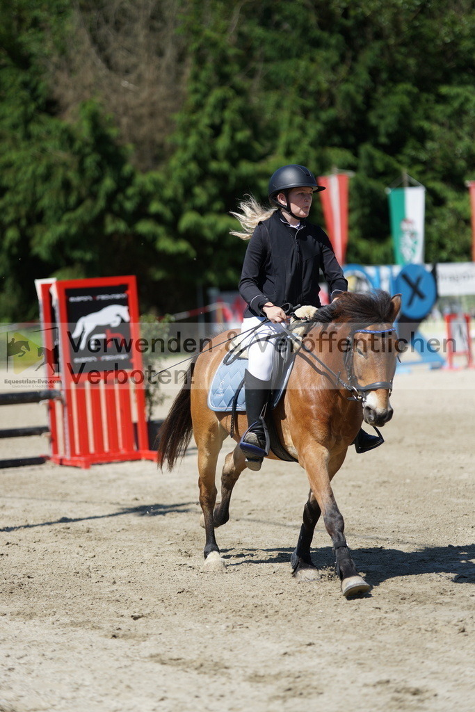 DSC06238 | equestrian-live-com