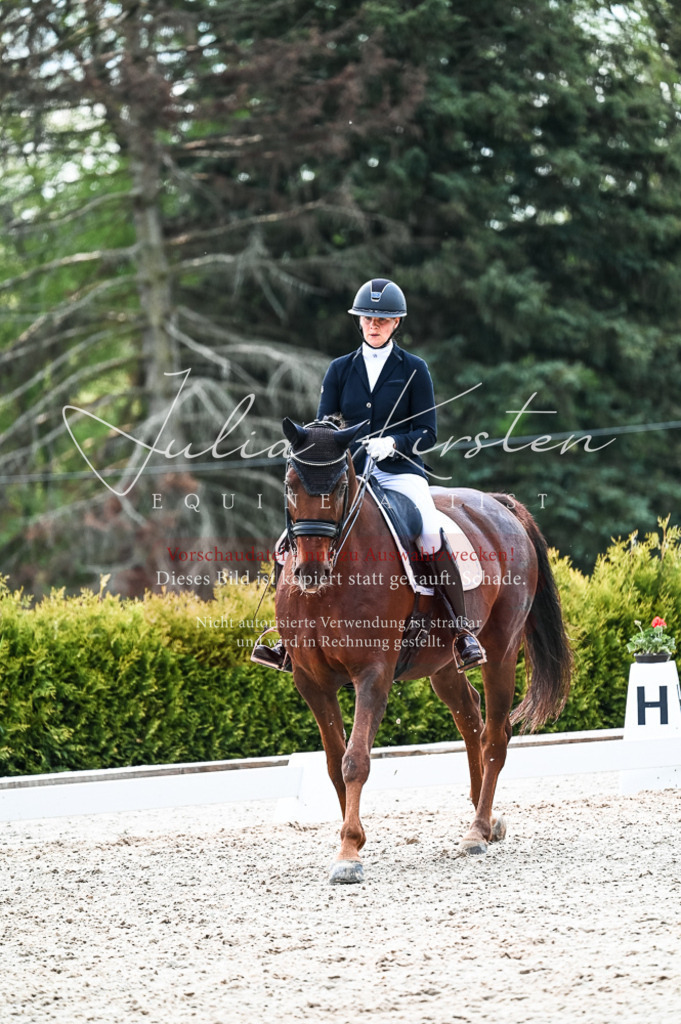 20230513_JK-Röhrsdorf-10-0849 | Pferde- und Turnierfotografie in Westsachsen. Pferdeportraits, Auftragszeichnungen und intuitive Kunst.