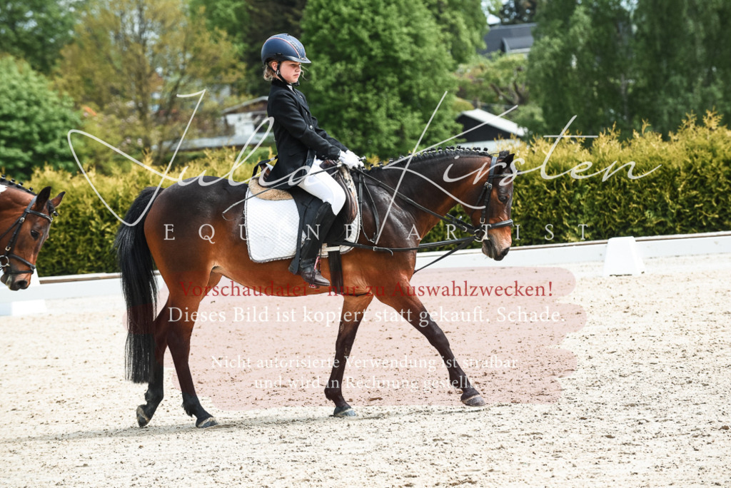 20230518_JK-Röhrsdorf-11-0206 | Pferde- und Turnierfotografie in Westsachsen. Pferdeportraits, Auftragszeichnungen und intuitive Kunst.