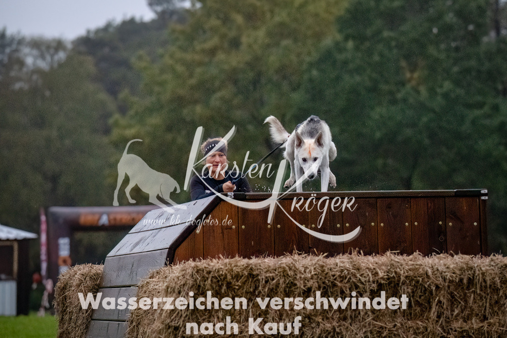 0814-_ZZ90736-Bearbeitet-Bearbeitet | kk-dogfotos