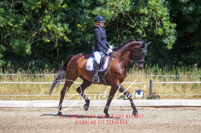 DKP46401 | Turniersportfotografie; Pferdefotografie; Dressurfotografie