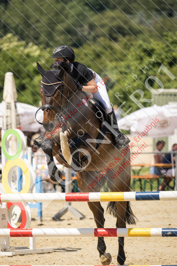 IMG_9692 | Sport-, Event- und Tierfotos in Profiqualität. Einfach auswählen, bestellen und herunterladen. Dein Moment – perfekt festgehalten.