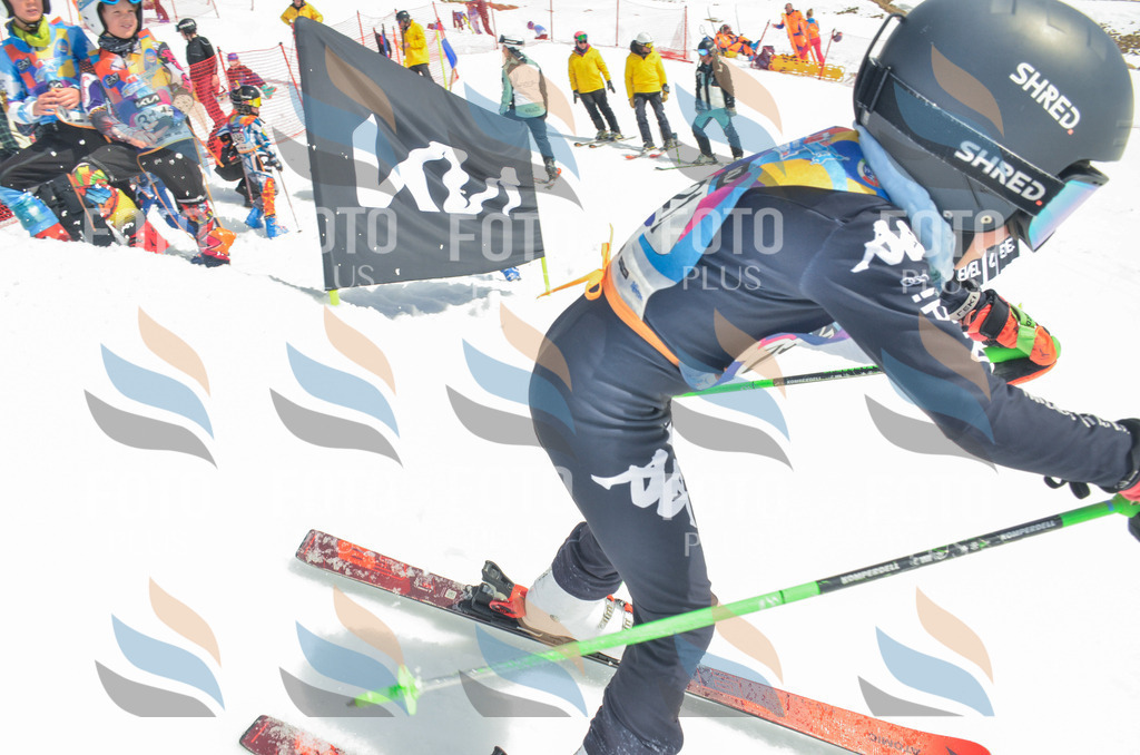 _ELE7049 | holidayphoto