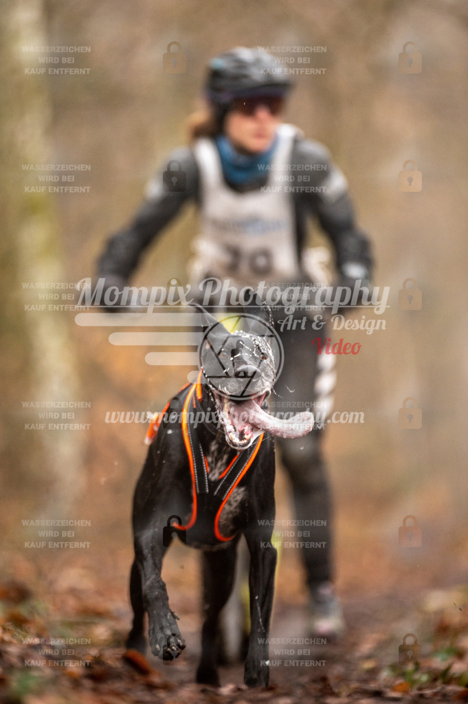 Reiat2023_SON_Scooter_5km_1H-73 | PayLife