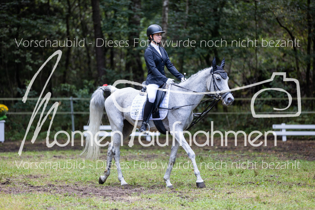 HB-Dressur-WB-037 | MomenTaufnahmen Pferdesportfotos