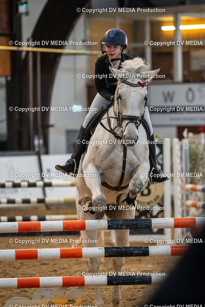 Kranichstein Tag 2-025 | dv-media-shop - Realisiert mit Pictrs.com