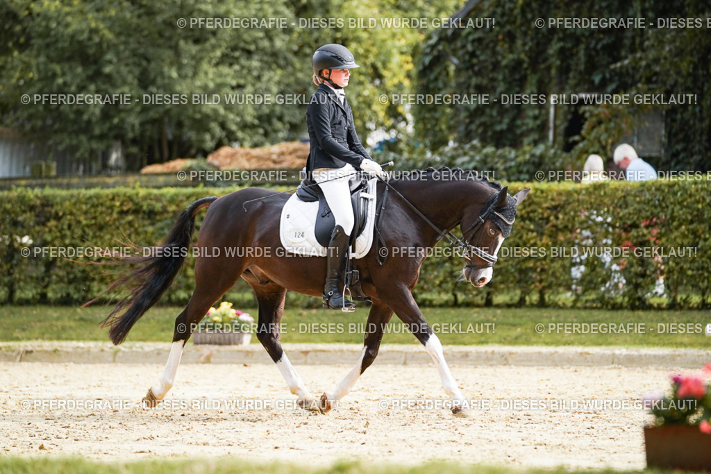 DSC04877 | Pferdegrafie