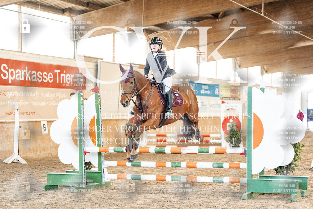 CK903863 | Turnierfotografie Pferdefotografie Trier Rheinland-Pfalz Pferdesport Reitsport Tierfotografie Sportfotografie Pferdevideo Pferdevideografie Equestrianvideography equestrianphotography  - Realisiert mit Pictrs.com