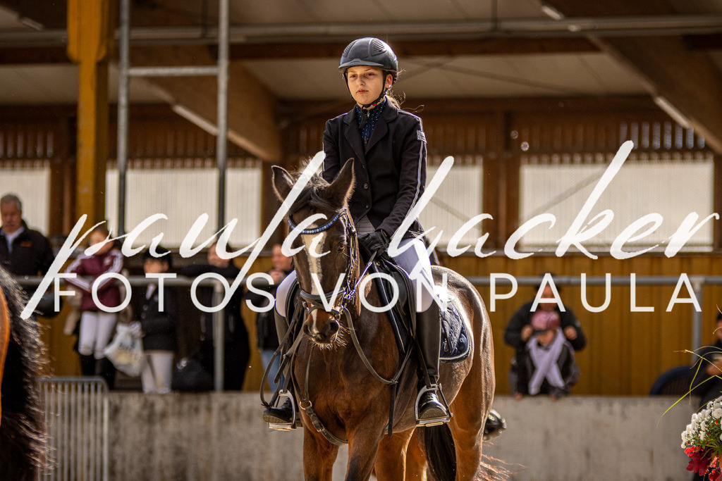 IMG_3756 | Erleben Sie dynamische Sport- und emotionale Tierfotografie in Süddeutschland mit Fotos von Paula. Spezialisiert auf Pferde- und Hundefotografie sowie Sportevents. Kontaktieren Sie mich für einzigartige und ausdrucksstarke Bilder Ihrer besonderen Momente. - Realisiert mit Pictrs.com