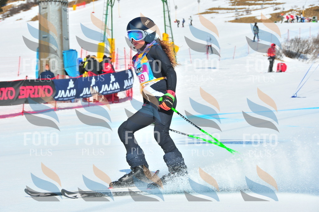 DSC_4485 | holidayphoto