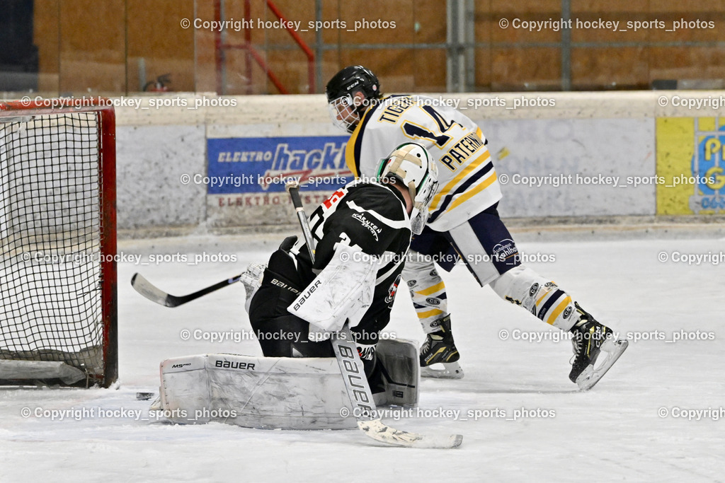 EC Tigers Paternion vs. Tarco Wölfe II | Penalty, #34 Schleinzer Manuel Tarco Wölfe II, #14 Tschurnig Daniel EC Tigers Paternion, EC Tigers Paternion vs. Tarco Wölfe II, EC Tigers Paternion vs. Tarco Wölfe II am 19.12.2024 in Spittal an der Drau (Eissportzentrum Spittal), Austria, (Photo by Bernd Stefan)