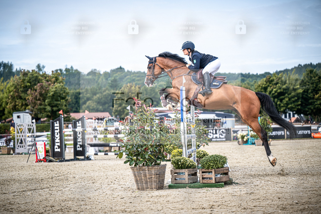 DOS_6915 | Entdecke hochwertige Reitturnierfotos von Foto Oger. Professionell, emotional und authentisch – jetzt Lieblingsmomente im Shop bestellen. - Realisiert mit Pictrs.com