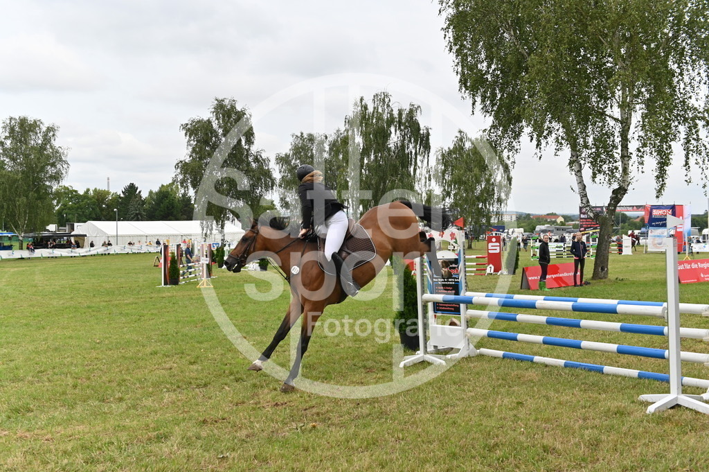 DSC_3087 | sattelsport - Realisiert mit Pictrs.com