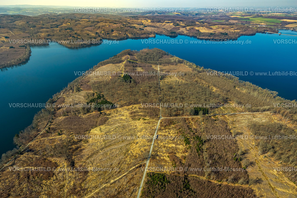 Moehnesee220301608 | Luftbild, Friedwald, Waldfriedhof, Halbinsel im Möhnesee, Waldsterben, Rodungen,   Delecke, Möhnesee, Sauerland, Nordrhein-Westfalen, Deutschland