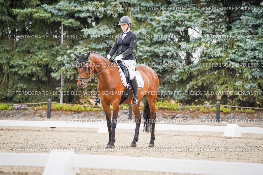 DSC01113 | Pferdegrafie