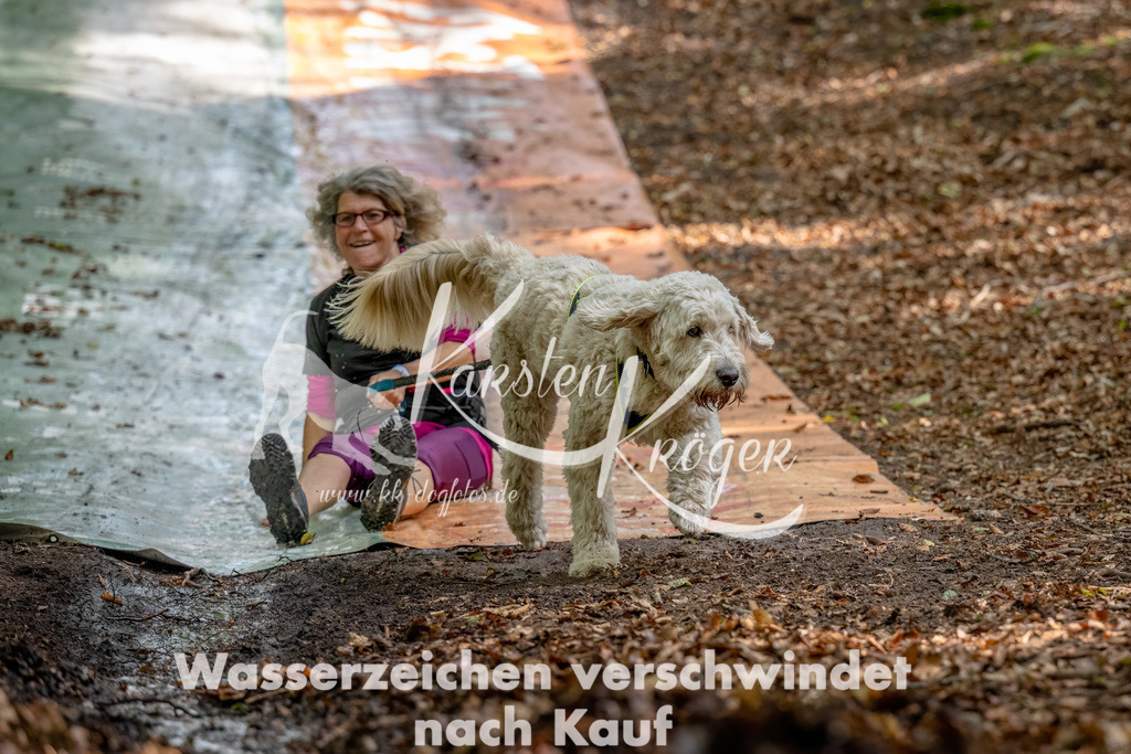 1221_ZZ94259-Bearbeitet | kk-dogfotos