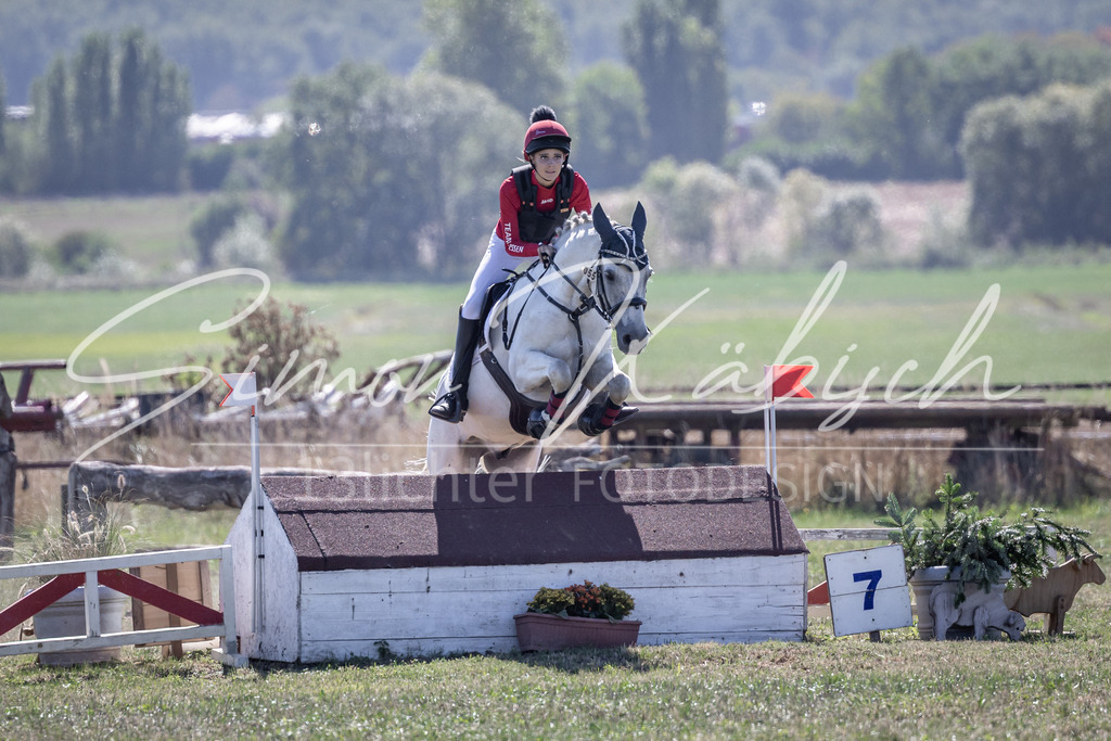 20260906-_3LI3037 | Tierfotografie Pferde, Hunde, Katzen, Haustiere.
Turnierfotografie Reitturniere, Reiten, Springreiten, Dressur in Hanau, dem Main-Kinzig-Kreis und dem Rhein-Main- Gebiet um Frankfurt