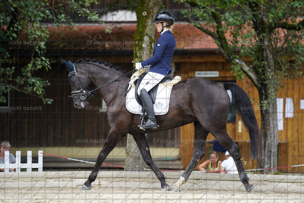 20230826-FAH05641 | Forstinning, 2023, Dressurturnier, Turniersportbilder, Turnierfotografen Bayern, Fotoagentur Herrmann, Reitsportfotografie, Turnierbilder