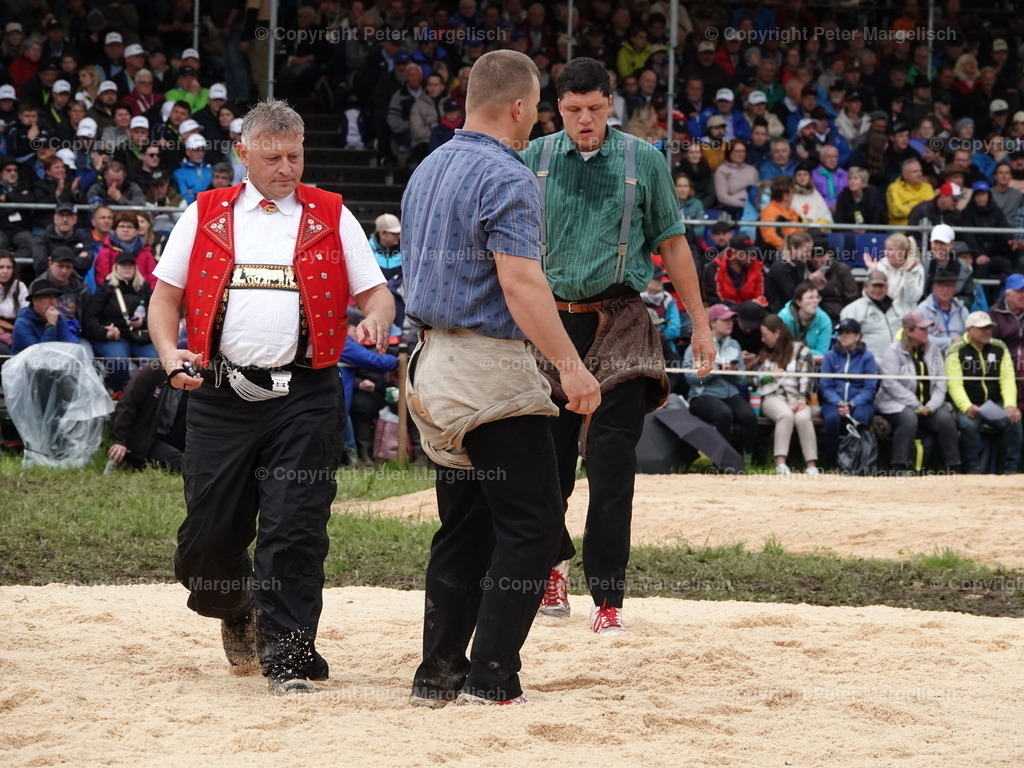 DSC07710 | Schwingen - Realisiert mit Pictrs.com