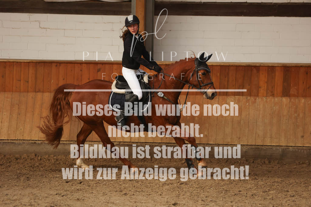 IMGM5769 | pl-fotografie