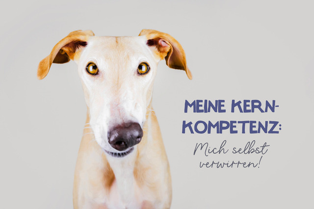 Oris Kernkompetenz | "Meine Kernkompetenz: Mich selbst verwirren!"