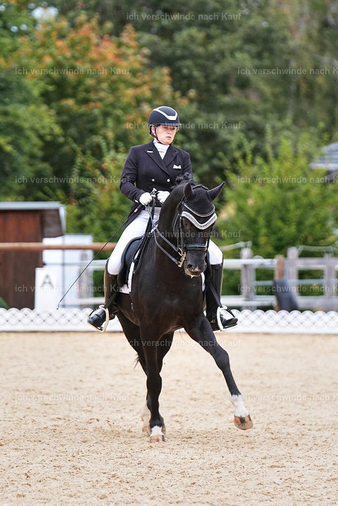 11-093-Dressur S___-Marixx-1554 | working equitationturnier fotograf videograf stoibphotography marixx film working equitation deutschland reitsport turnierfotografie eventfotografie equestrian events