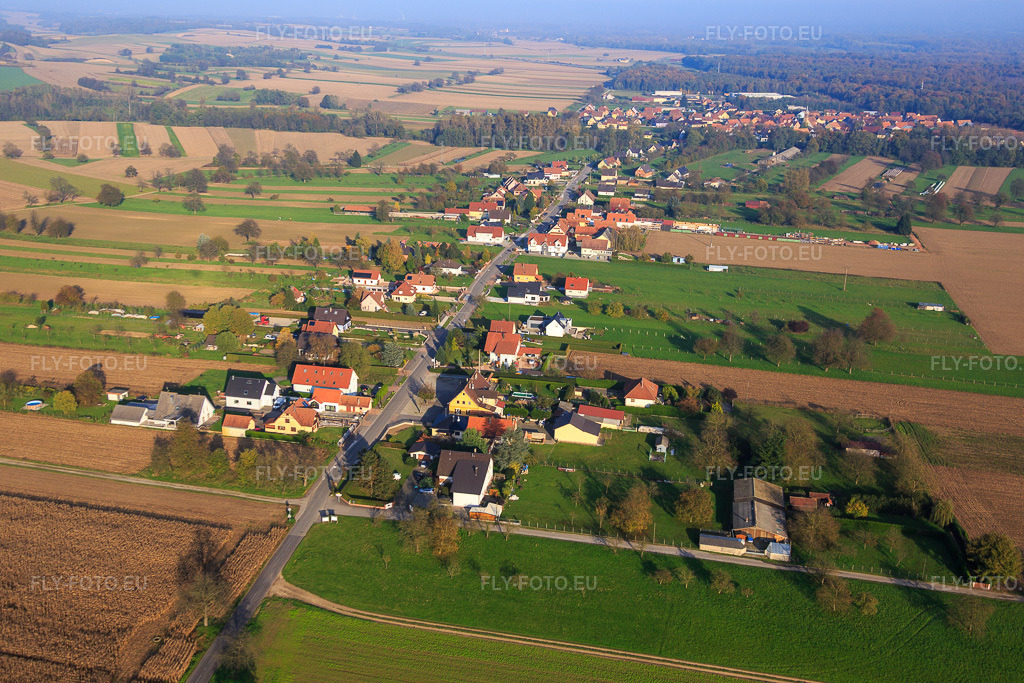 Vue aérienne: Rue de Niederroedern à Schaffhouse-près-Seltz dans le département Bas Rhin, France – .Photo: IMG_075692.jpg prise le 01/11/2014 par Werner Riehm/FLY-FOTO.eu – Résolution de l'original: 5472 x 3648 px