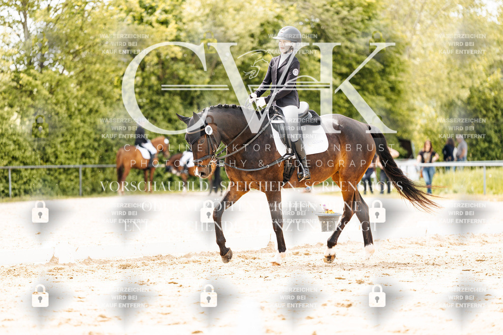 CK902486 | Turnierfotografie Pferdefotografie Trier Rheinland-Pfalz Pferdesport Reitsport Tierfotografie Sportfotografie Pferdevideo Pferdevideografie Equestrianvideography equestrianphotography  - Realisiert mit Pictrs.com