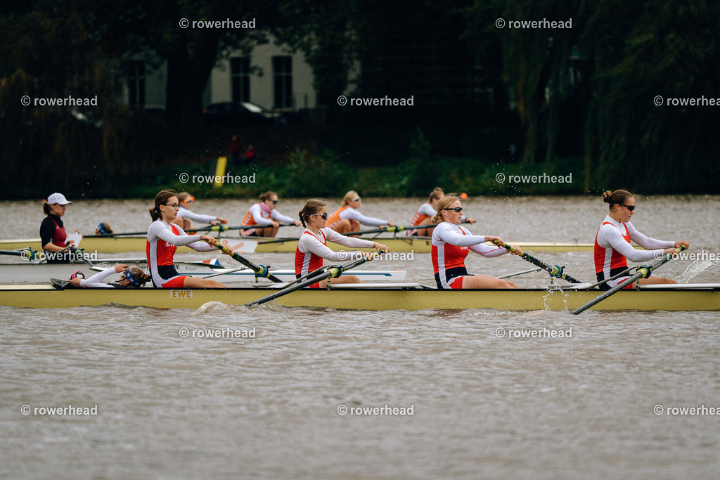 20241013_rowerhead_R26F_S0127_DSC01240 | rowerhead - Realisiert mit Pictrs.com