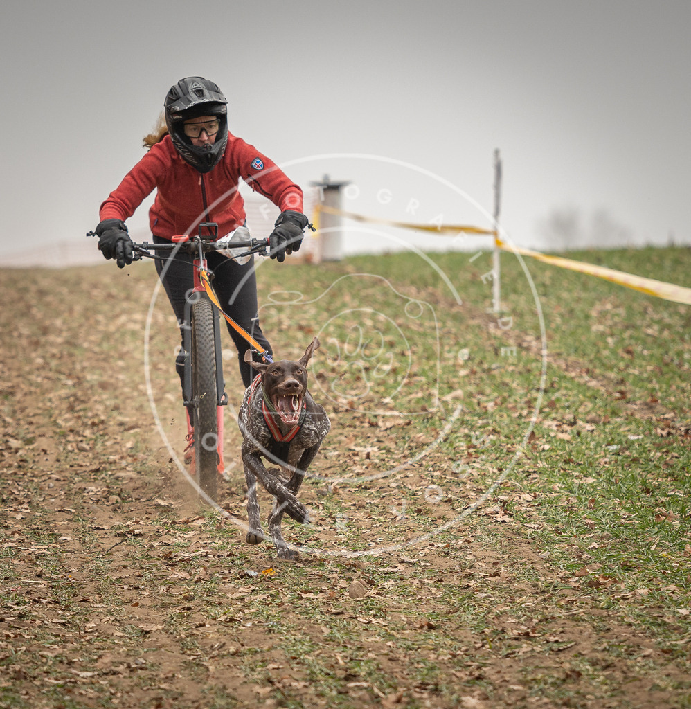 Pfotenfotografie_DV3A3609 | Hundefotografie, Tierfotograf, Pfotenfotografie, Fotoshooting Hund, Hunde Portrait, Hundesport, Hundeportraits, Heideshooting, Hunde, Sportfotograf, Hundefotograf, Turnierhundsport, THS,  - Realisiert mit Pictrs.com