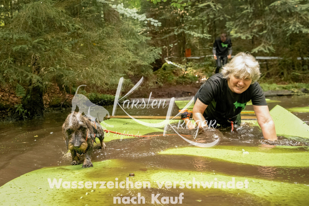 1223_ZZ94285-Bearbeitet | kk-dogfotos