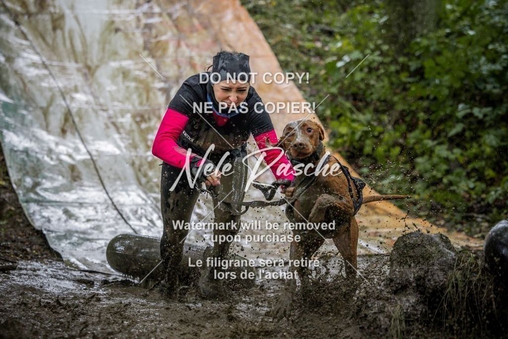 nelerasche_Hunsrück_Sa1300-1400_535-final | nelerasche