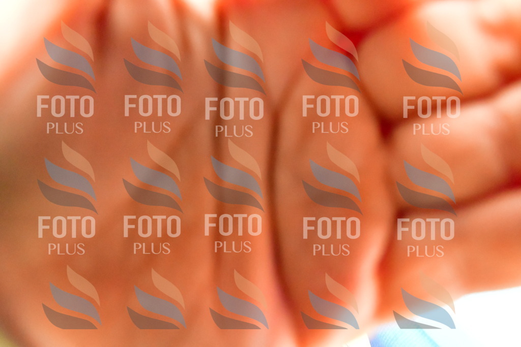 _DSC4018 | holidayphoto