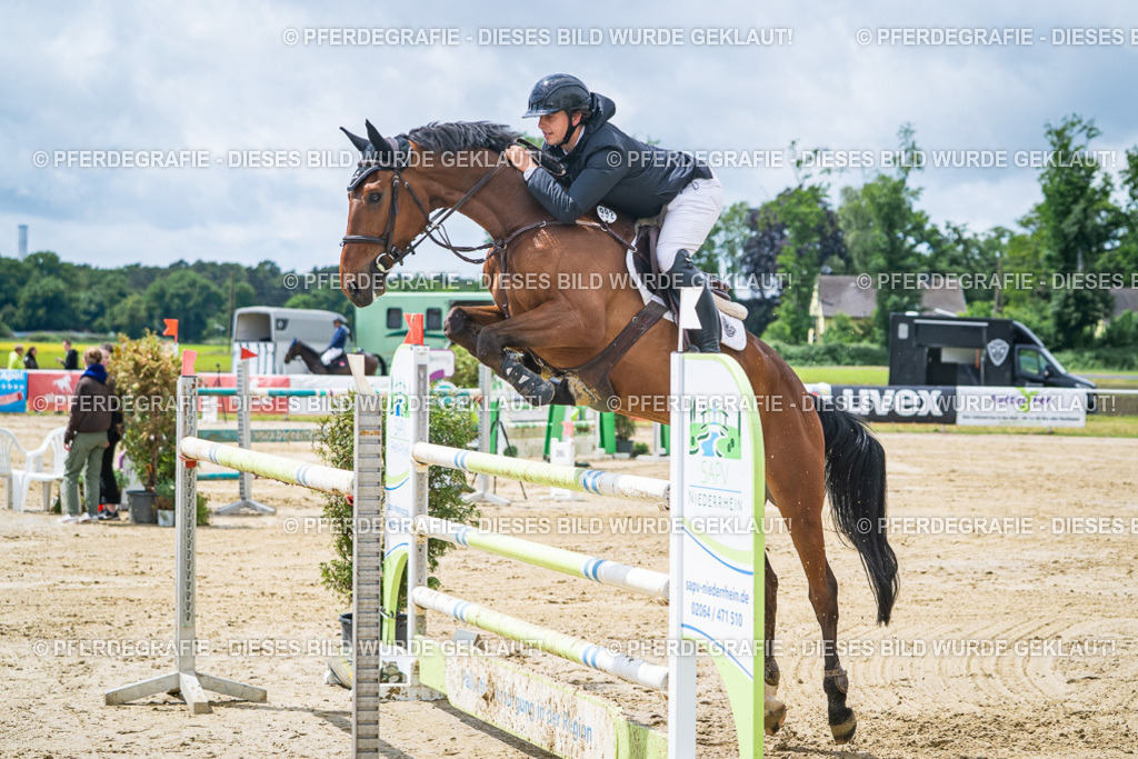 DSC04549 | Pferdegrafie