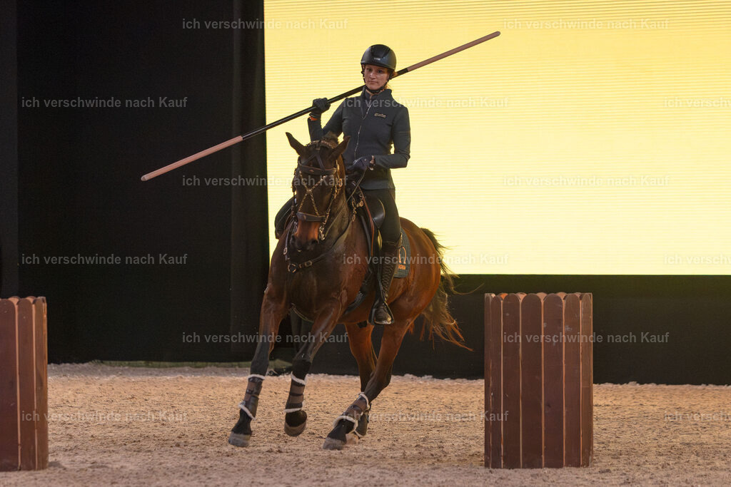 JoseraCup-87 | working equitationturnier fotograf videograf stoibphotography marixx film working equitation deutschland reitsport turnierfotografie eventfotografie equestrian events