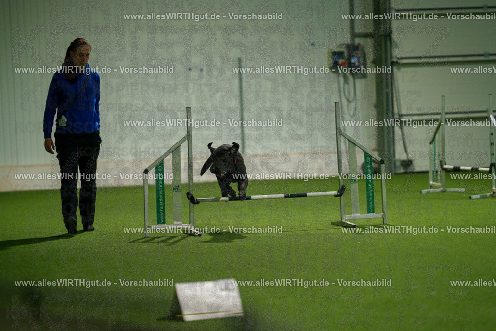 7R508464 | Professionelle Tierfotografie in Mönchengladbach von Daniel Wirth (allesWIRTHgut). Liebevolle & natürliche Bilder von Hunden & Katzen für unvergessliche Erinnerungen.