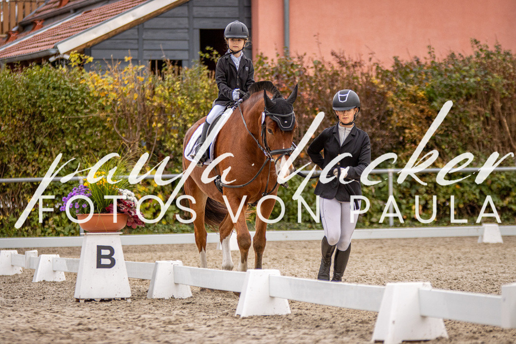 IMG_3959 | Erleben Sie dynamische Sport- und emotionale Tierfotografie in Süddeutschland mit Fotos von Paula. Spezialisiert auf Pferde- und Hundefotografie sowie Sportevents. Kontaktieren Sie mich für einzigartige und ausdrucksstarke Bilder Ihrer besonderen Momente. - Realisiert mit Pictrs.com