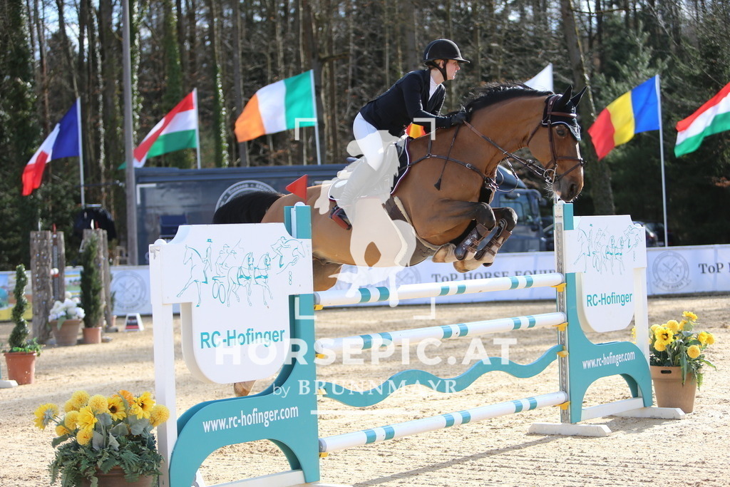 DL2Q0984 | Willkommen bei Brunnmayr - Design & Fotografie – Ihrem Spezialisten für Reitturniere und Pferdeveranstaltungen in Oberösterreich, Salzburg und Bayern! Seit über 17 Jahren sind wir leidenschaftlich dabei.